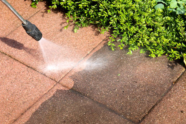 Best House Pressure Washing  in Dale, PA